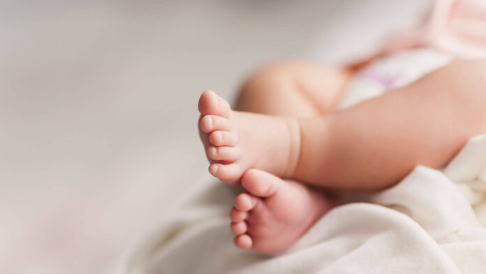 baby-tarbija