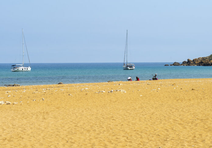DSC_4720-1