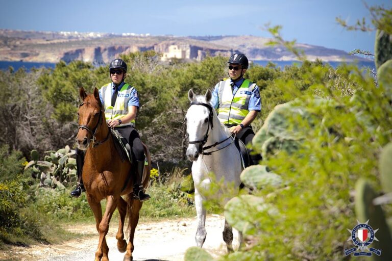 Ħadd ma jinqabad jikser il-kwarantina … 4 persuni mmultati €100 kull wieħed