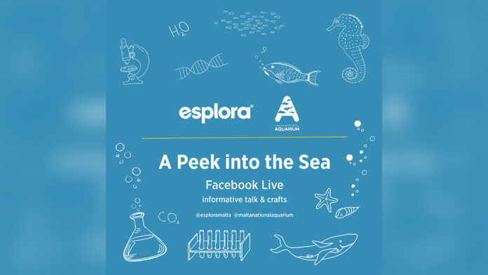 esplora