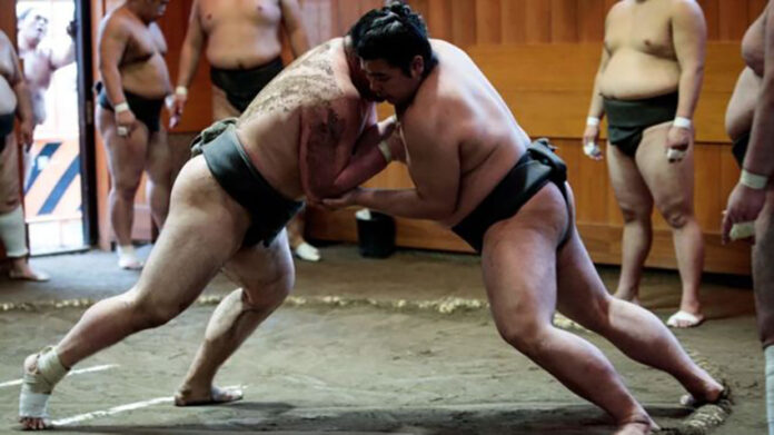 sumo