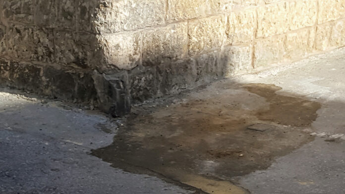 awrina naxxar