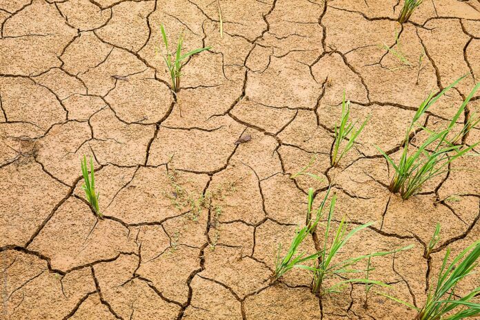 dry