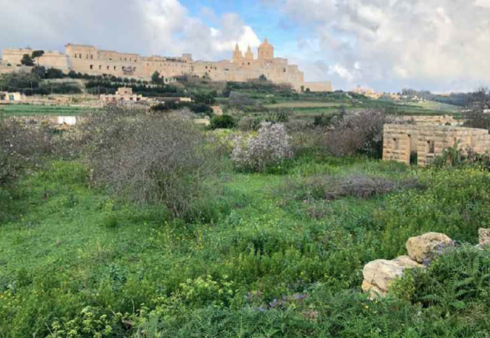 mdina zvilupp 2020-06-18 at 13.03.32