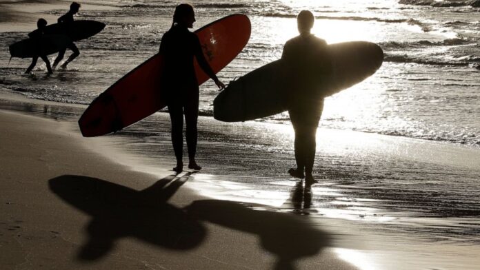 surfer awstralja