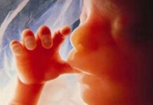 Il-Qorti tal-Appell tannulla l-kundanna ta’ mara akkużata li kkawżat l-abort tat-tarbija tagħha