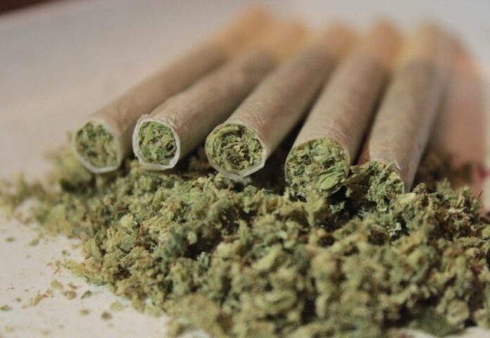 cannabis