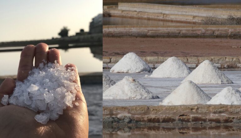 Ir-Riżerva Naturali tas-Salina terġa’ tibda tipproduċi l-melħ