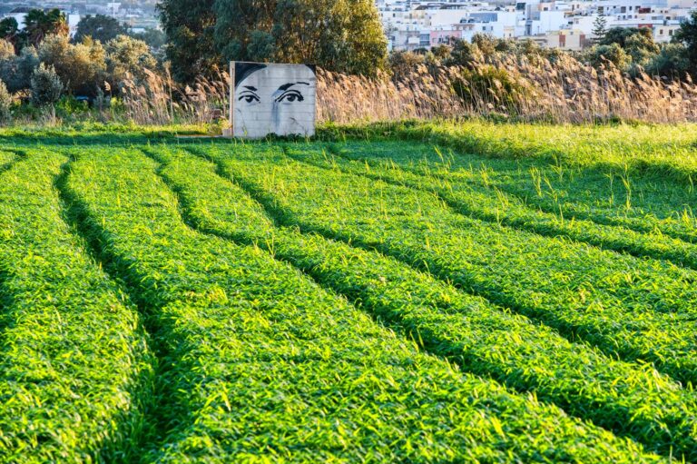 “Daphne Caruana Galizia hija eroj Maltija” – Repubblika