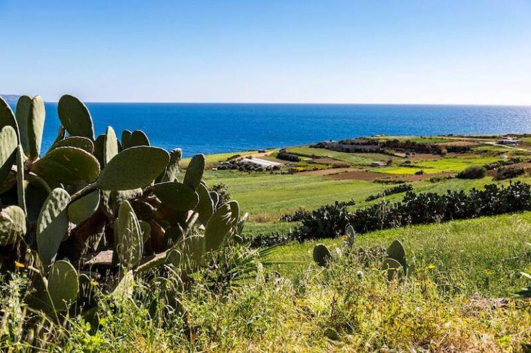 Titwaqqaf l-Aġenzija Project Green responsabbli mill-akbar proġett ambjentali f’pajjiżna