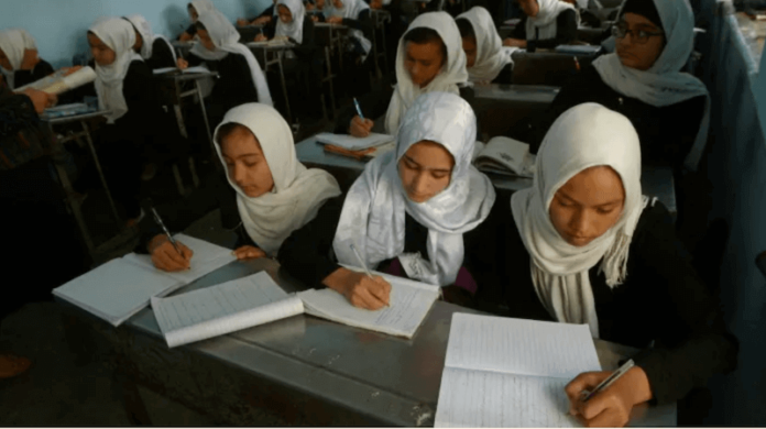 taliban