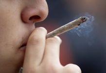 Disa’ xhur ħabs u €3,000 multa fuq pussess ta’ kannabis waqt festival