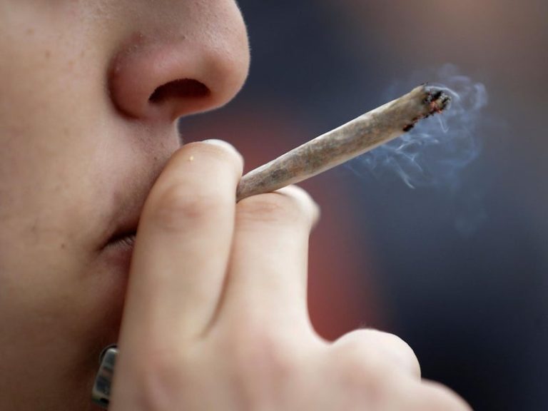 Tidħol fis-seħħ il-liġi l-ġdida li tirregola l-użu responsabbli tal-kannabis