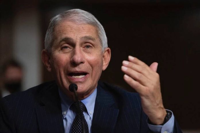 Dr Fauci
