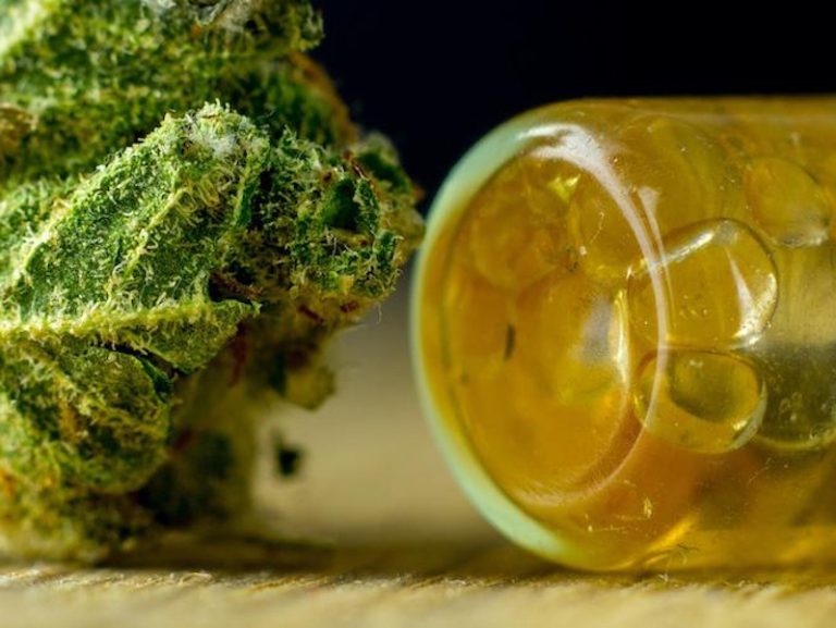 “Inbati bl-ME u nixtri Marijuana  b’mod legali f’Malta… għaliex din il-kruċjata?”