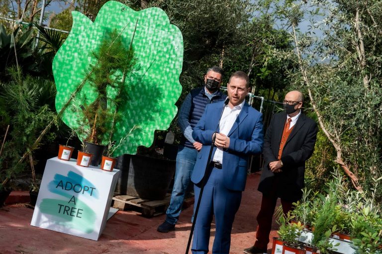 Tista’ ‘tadotta siġra’ għal sentejn biex wara titħawwel fi spazju pubbliku