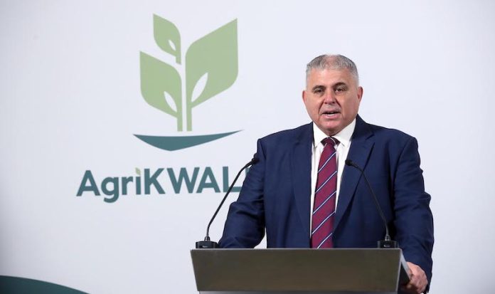 anton refalo