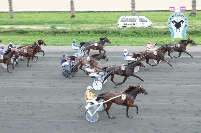 Vaelntino Strix jirbah fl-ghola klassi
