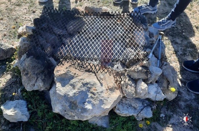 aħrax tal-mellieħa 2