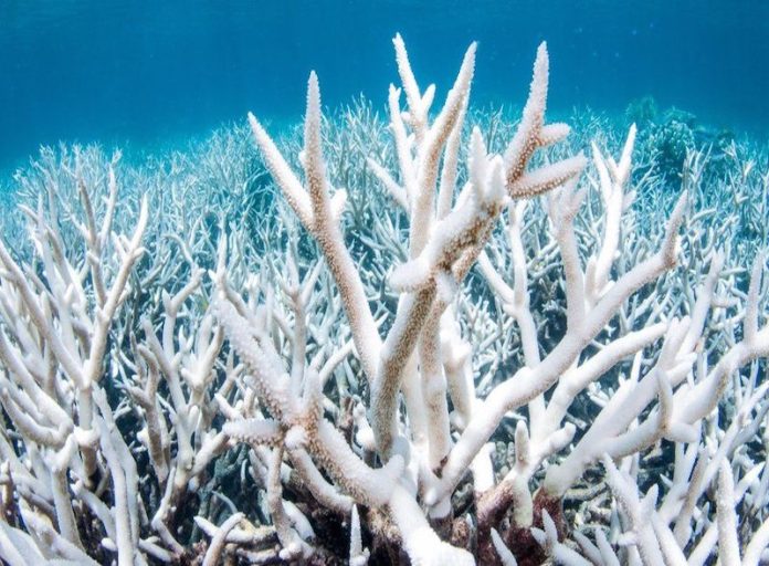 Great Barrier Reef