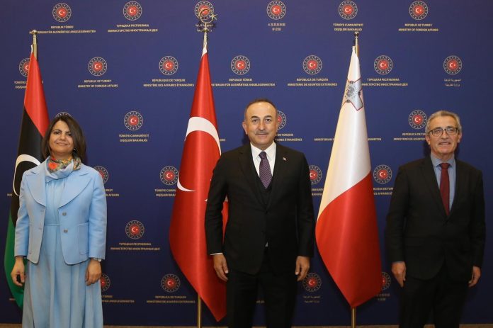TURKISHLIBHANMALTESEFMS