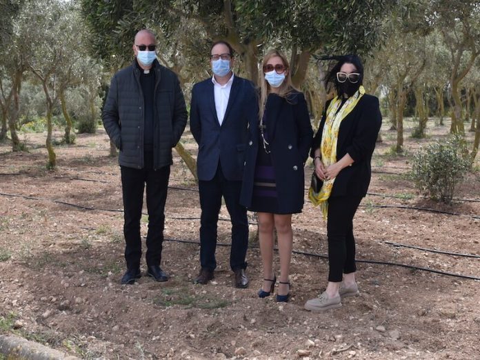 04252022 - Melita Foundation sponsors drip irrigation system for Id Dar tal Providenza’s olive grove - PHOTO
