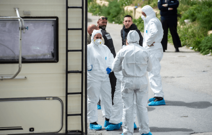 qtil ħal qormi