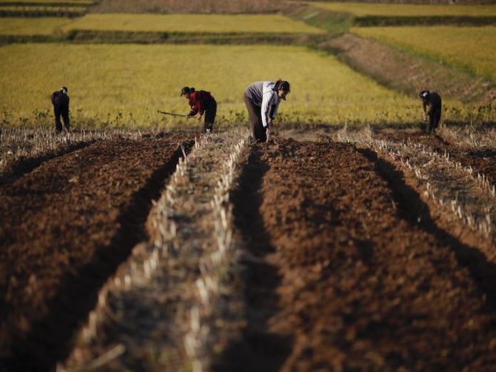 farmers