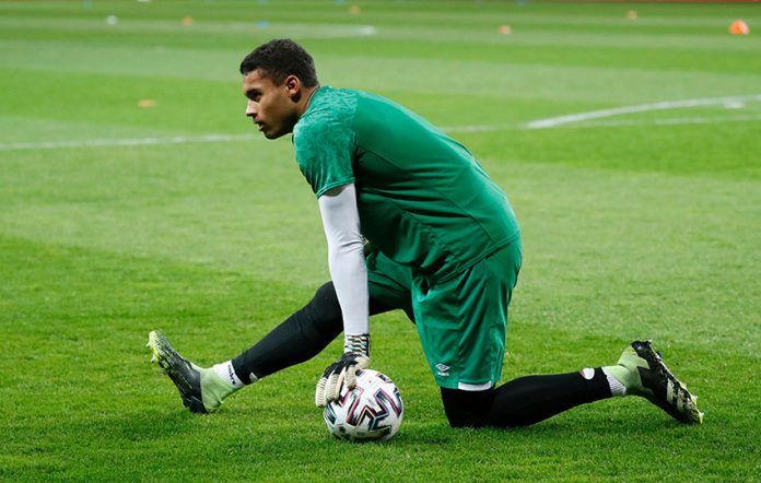 International Friendly - Qatar v Ireland