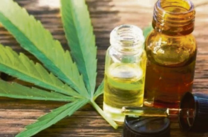 kannabis