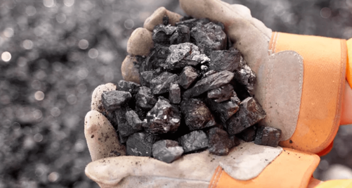 Coal