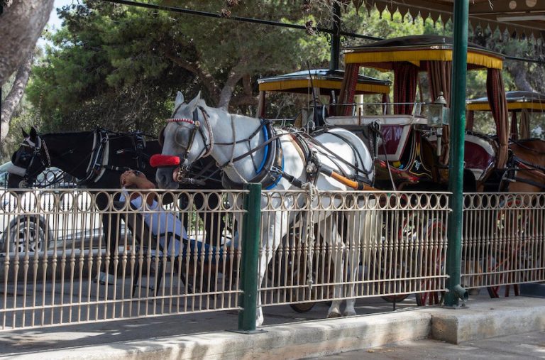 Il-kuċċiera tal-karozzini jissieħbu fil-GWU