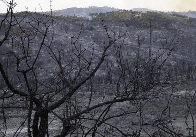 Minn tal-inqas 26 persuna jitilfu ħajjithom kawża ta’ nirien ġewwa l-Alġerija