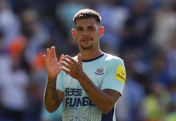 Premier League - Brighton & Hove Albion v Newcastle United