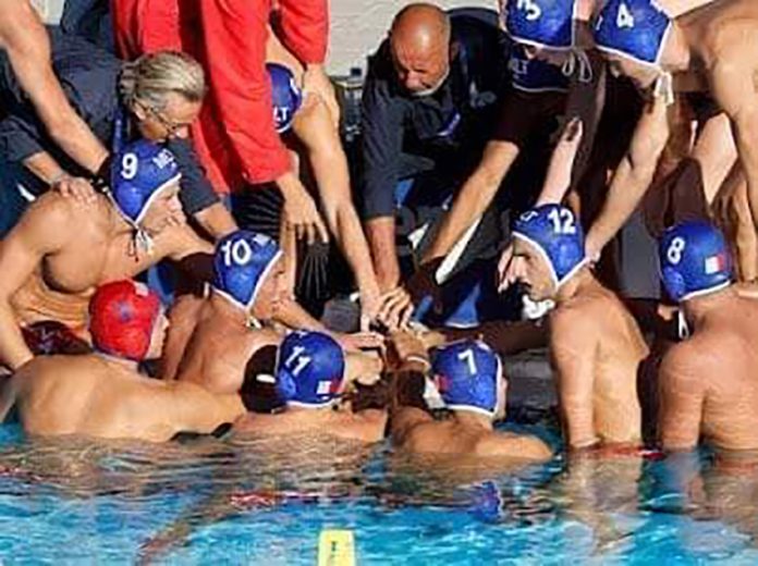 Ant 01