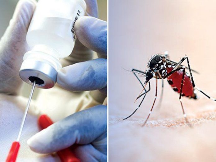 malaria