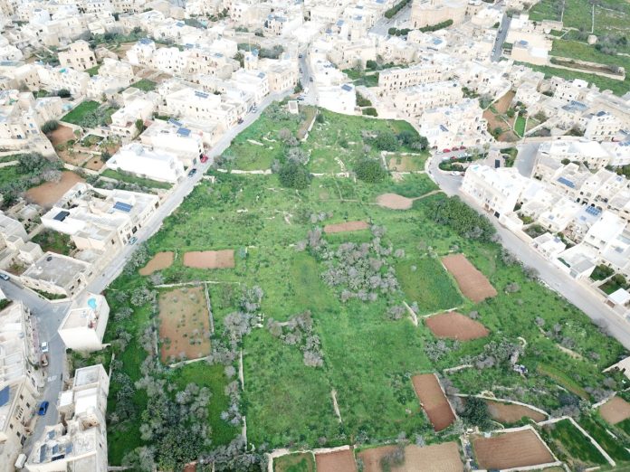 qala_zvilupp