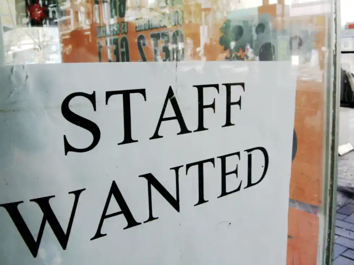 staff wanted