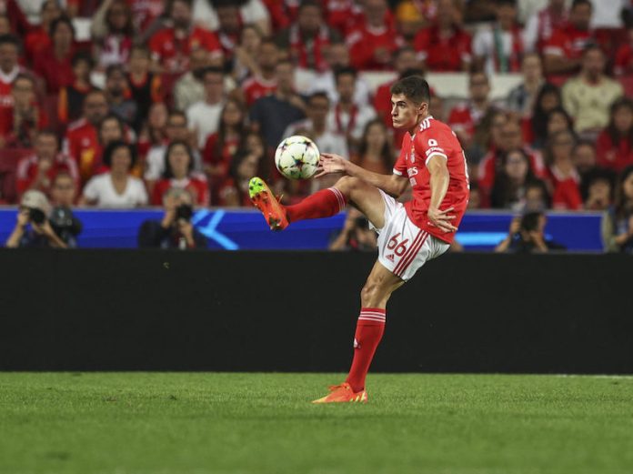 SL Benfica v Paris Saint-Germain: Group H - UEFA Champions League