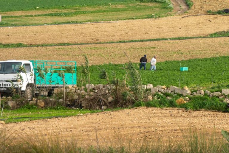 TIBDIL LI JAGĦTI KURAĠĠ LILL-BDIEWA ĠENWINI
