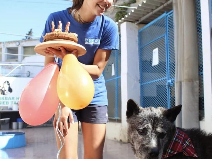 Pspca