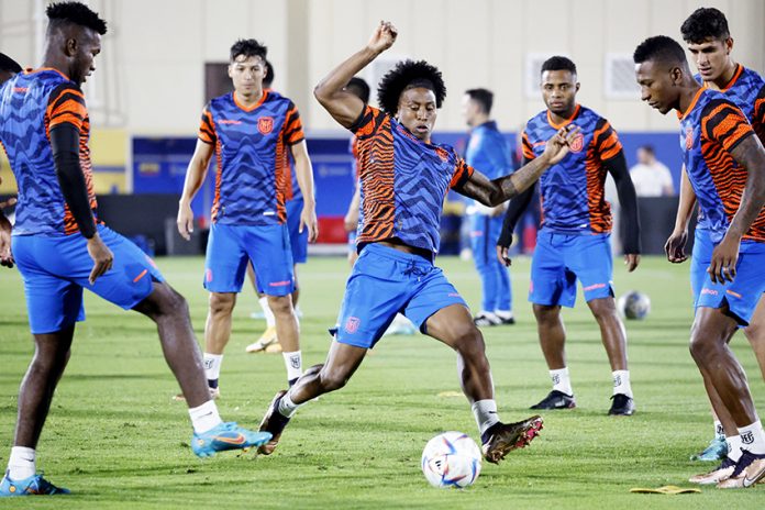FIFA World Cup Qatar 2022 - Ecuador Training