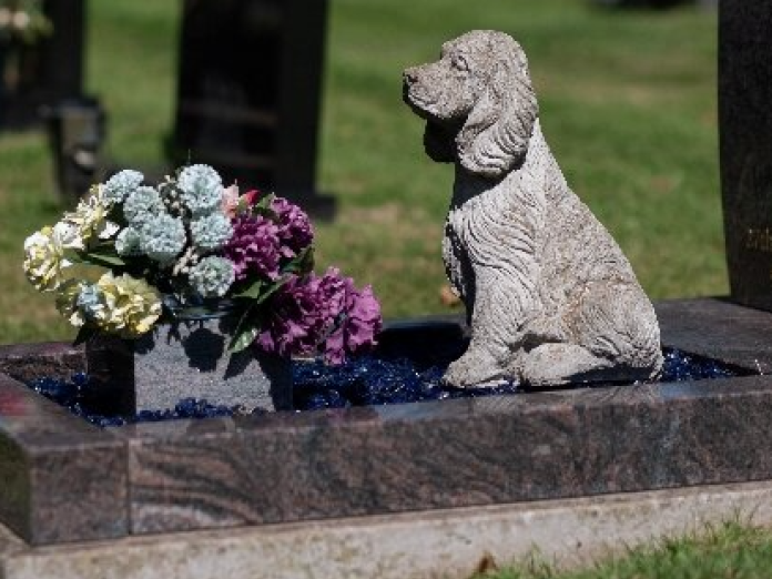 pet-cemetery