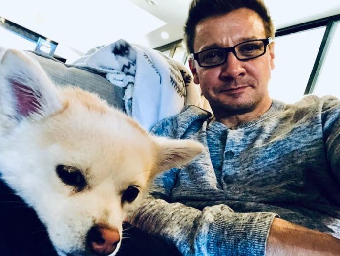 Jeremy Renner