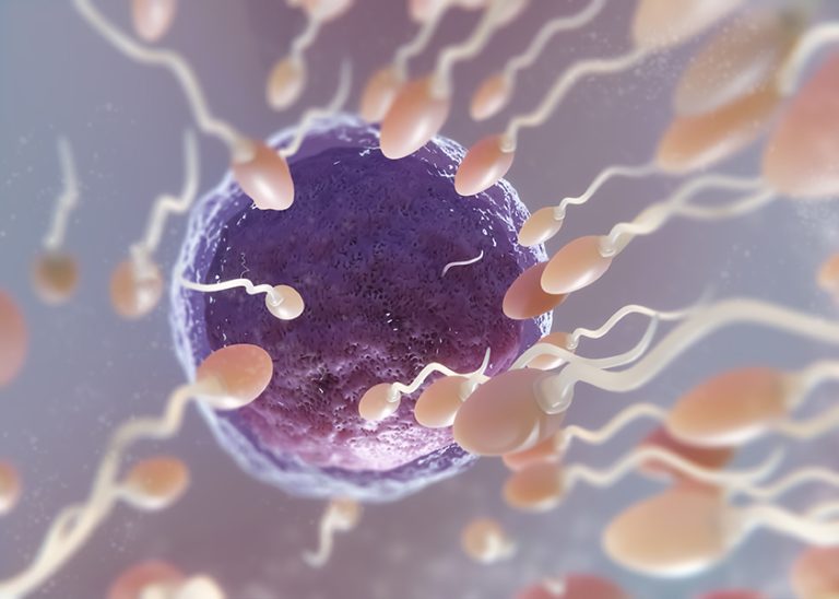 AKTAR RIŻORSI GĦAL FAMILJI LI JRIDU TARBIJA BL-IVF