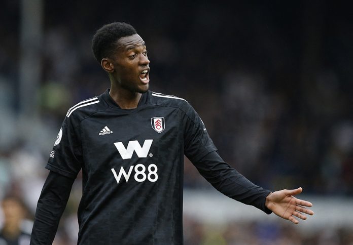 Premier League - Leeds United v Fulham