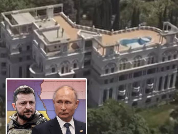 appartament - zelensky vs putin