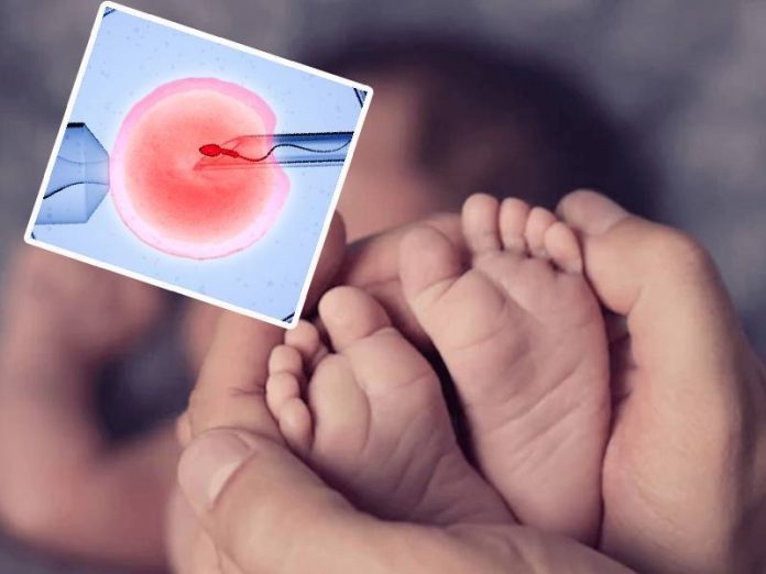 ivf - trabi
