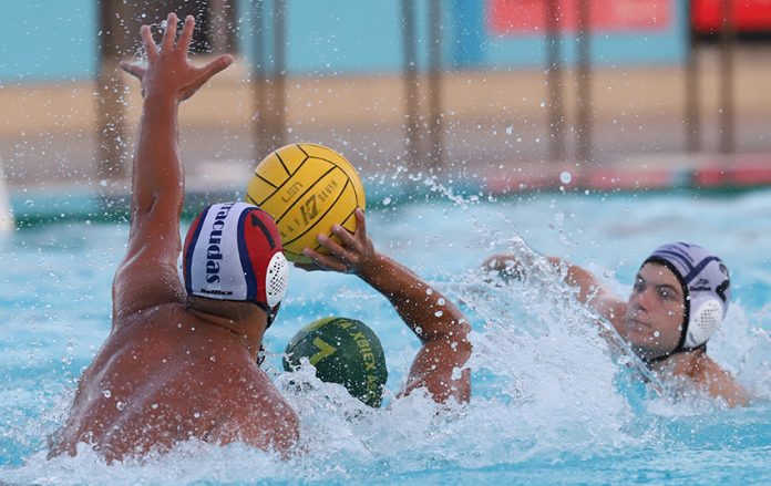 Barracudas