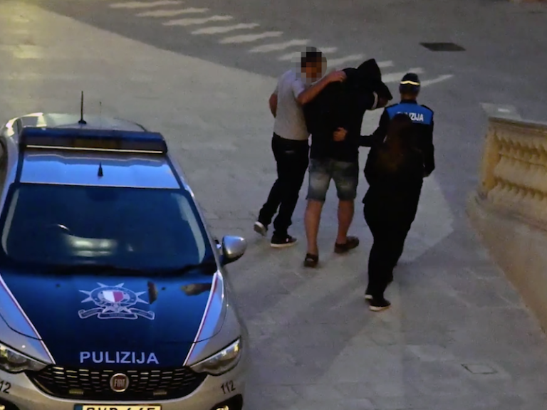 ARA: Ħelsien mill-arrest għar-raġel mixli bil-qtil ta’ żewġt iklieb f’Ta’ Sannat